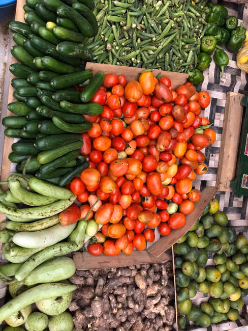Legumes Frescos (kg)